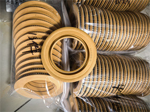 Polyimid Lip Seal PTFE Lip Seal Spring Energized Seal for Rubber Oil Seal of Centrifuge Pump with High-Efficiency