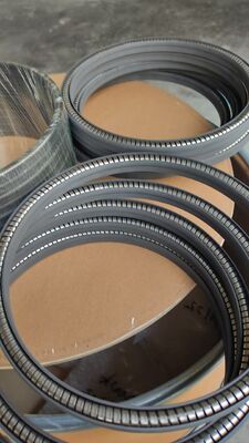 Spring-Energized PTFE Seals Trailer Wheel Oil Seals Hydraulic Application and More