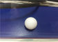 White Plastic Molded Parts  / Ptfe Solid Plastic Balls Coloured Customized