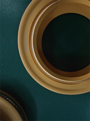 Polyimid Lip Seal PTFE Lip Seal Spring Energized Seal for Rubber Oil Seal of Centrifuge Pump with High-Efficiency
