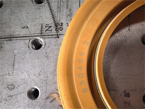 Spring Energized Teflon Seal for Centrifuge Pump with High Quality