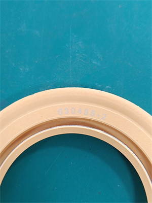 Centrifuge Pump Teflon Seal for chemical environment