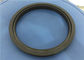 Mine Pulverizer PTFE Spring Oil Seal Energized Oil Double Spring Seal