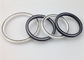 60 - 90 Shores A Hardness Oil Lip Seal  PTFE Rotary Shaft Seal Standard Size