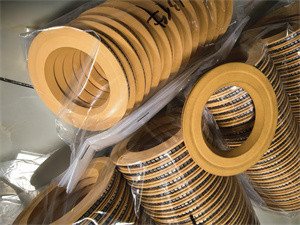 Spring Energized Teflon Seal for Centrifuge Pump with High Quality