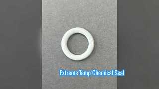 FKM PTFE O Ring High Temp Chemical Seal
