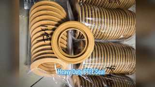 PTFE Oil Seal Heavy Machinery Hydraulic Cylinder