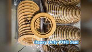 Heavy Duty PTFE Oil Seal
