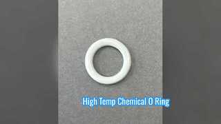 FKM PTFE O Ring High Temp Chemical Seal