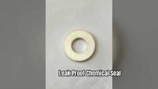 PTFE Gasket Seal Chemical Resistant Leak Proof