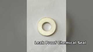 PTFE Gasket Seal Chemical Resistant Leak Proof