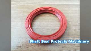 15m/s Shaft Seal: Protect Your Machinery